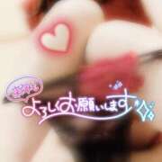 ヒメ日記 2025/12/31 19:00 投稿 みやこ トマトなび