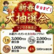 ヒメ日記 2026/01/04 08:00 投稿 みやこ トマトなび