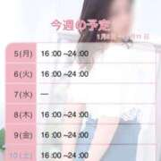 ヒメ日記 2026/01/05 15:30 投稿 みやこ トマトなび