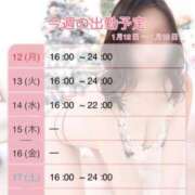 ヒメ日記 2026/01/12 08:00 投稿 みやこ トマトなび