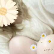 ヒメ日記 2026/01/13 15:30 投稿 みやこ トマトなび