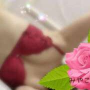 ヒメ日記 2026/01/28 15:30 投稿 みやこ トマトなび