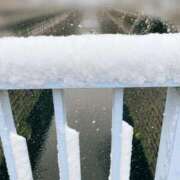 ヒメ日記 2026/02/08 15:30 投稿 みやこ トマトなび