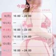 ヒメ日記 2026/02/09 08:00 投稿 みやこ トマトなび