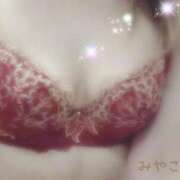 ヒメ日記 2026/02/10 15:30 投稿 みやこ トマトなび