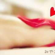 ヒメ日記 2026/02/11 15:30 投稿 みやこ トマトなび