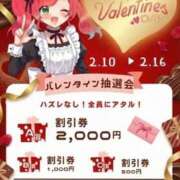 ヒメ日記 2026/02/14 08:00 投稿 みやこ トマトなび