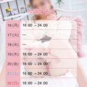 ヒメ日記 2026/02/16 08:00 投稿 みやこ トマトなび