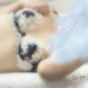 ヒメ日記 2026/02/19 15:01 投稿 みやこ トマトなび