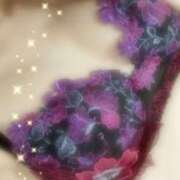 ヒメ日記 2026/02/20 15:30 投稿 みやこ トマトなび