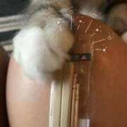 ヒメ日記 2026/02/22 15:30 投稿 みやこ トマトなび