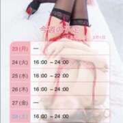 ヒメ日記 2026/02/23 08:00 投稿 みやこ トマトなび