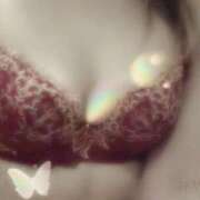 ヒメ日記 2026/03/01 15:03 投稿 みやこ トマトなび