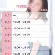 ヒメ日記 2026/03/02 08:02 投稿 みやこ トマトなび