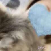 ヒメ日記 2026/03/02 17:01 投稿 みやこ トマトなび