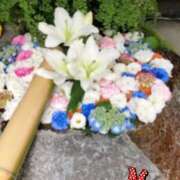 ヒメ日記 2026/03/03 09:21 投稿 みやこ トマトなび