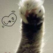 ヒメ日記 2026/03/06 08:48 投稿 みやこ トマトなび