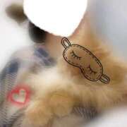 ヒメ日記 2026/03/10 12:01 投稿 みやこ トマトなび