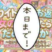 ヒメ日記 2026/03/20 08:00 投稿 みやこ トマトなび