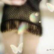 ヒメ日記 2026/03/21 15:02 投稿 みやこ トマトなび