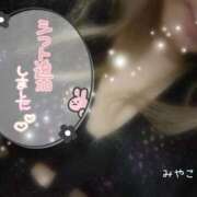 ヒメ日記 2026/03/22 09:00 投稿 みやこ トマトなび