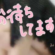 ヒメ日記 2026/03/29 07:46 投稿 みやこ トマトなび