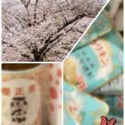 ヒメ日記 2026/03/29 13:15 投稿 みやこ トマトなび