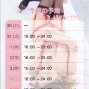 ヒメ日記 2026/03/30 08:00 投稿 みやこ トマトなび