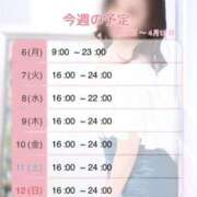 ヒメ日記 2026/04/06 08:00 投稿 みやこ トマトなび