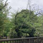 みやこ あさんぽ トマトなび