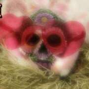 ヒメ日記 2026/04/17 21:12 投稿 みやこ トマトなび