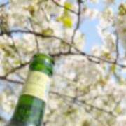 ヒメ日記 2026/04/19 19:01 投稿 みやこ トマトなび