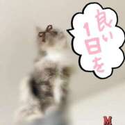 ヒメ日記 2026/04/25 09:07 投稿 みやこ トマトなび