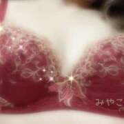 ヒメ日記 2026/04/29 15:30 投稿 みやこ トマトなび