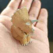 ヒメ日記 2026/01/14 19:52 投稿 はな ちょいぽちゃMAX 鯖江店