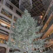 ヒメ日記 2025/12/30 21:38 投稿 黒崎 BBW横浜店