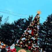 ヒメ日記 2025/12/24 21:03 投稿 あさひ　奥様 SUTEKIな奥様は好きですか?