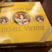 ヒメ日記 2026/03/13 19:33 投稿 あさひ　奥様 SUTEKIな奥様は好きですか?