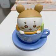 ヒメ日記 2025/11/10 16:09 投稿 ふみな 帯広黒い金魚