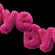 ヒメ日記 2026/01/13 04:03 投稿 ある 宮崎ちゃんこ中央通店