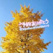 ゆずき 今日は シャロン横浜