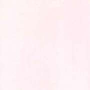 ヒメ日記 2025/11/20 02:01 投稿 ちはる ピンクコレクション大阪