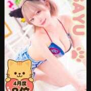 天然水白湯 おにゅー！！✨️ にゃんだ☆full☆MIX（にゃんだふるみっくす）