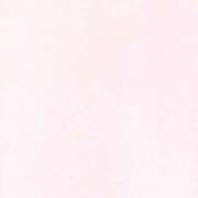 ヒメ日記 2025/11/20 01:59 投稿 ちはる ピンクコレクション大阪キタ店