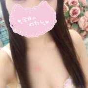 ヒメ日記 2025/11/20 11:40 投稿 まりな My Essentials