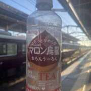 ヒメ日記 2025/11/29 16:17 投稿 みつき みこすり半道場 大阪店