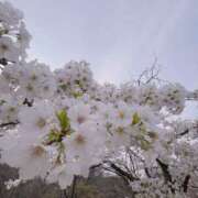 みつき さくら みこすり半道場 大阪店