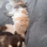 ヒメ日記 2026/01/28 11:04 投稿 ななは 完熟ばなな梅田