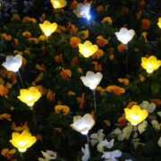 ヒメ日記 2026/01/16 15:32 投稿 ゆは Number Five 品川（シンデレラグループ）