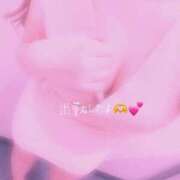 ヒメ日記 2025/11/13 12:58 投稿 はな 品川ハイブリッドマッサージ